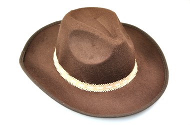 cowboy hoed bruin  