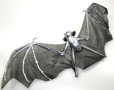 Bat