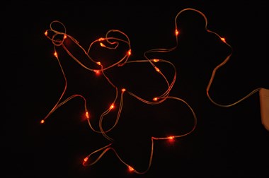 Licht ketting rood 20 LED lampjes "incl. batterijen"