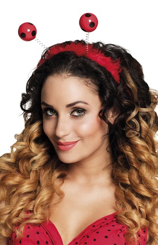 Diadeem lieveheersbeestje met marabou