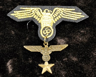 Broche Navy adelaar