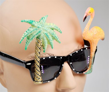 Bril Flamingo