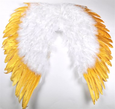 Verenvleugels wit met goud 56x56cm