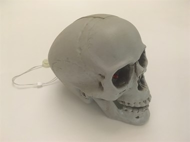 Totenkopf blinkende Augen 
