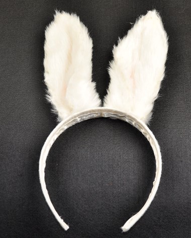 Diadeem haas wit