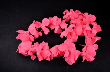 Hawaiiketting fluo pink