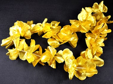 Hawaiiketting goud