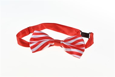Fliege rot/weiss
