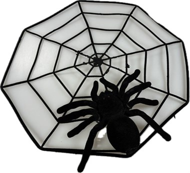 Spider web with large spider