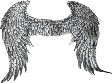 Angel wings Michaella 68x55cm