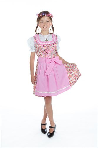 Dirndl Helga oktoberfeest jurk,schort,blouse