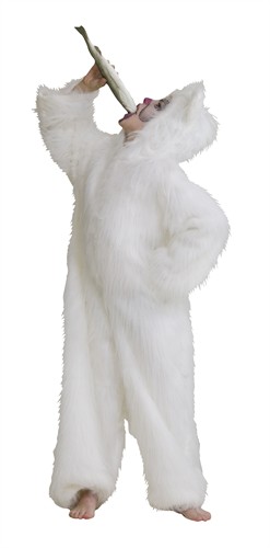 Eisbär