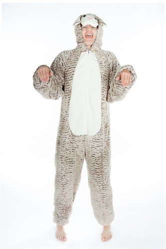 Schaap