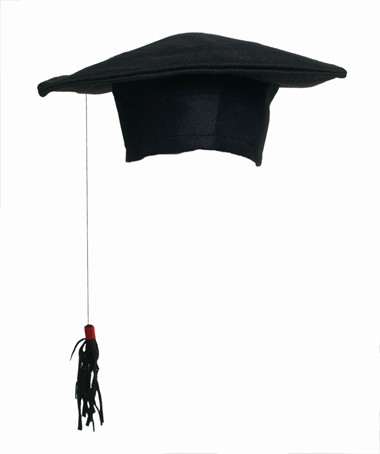 Doktorhut, universal größe (29x27 cm)