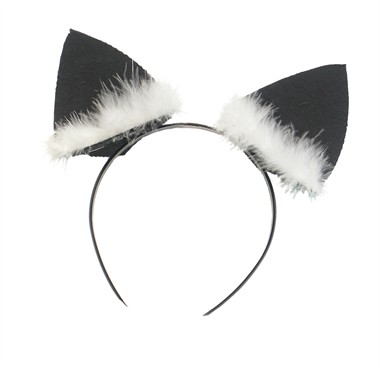 Diadeem poes